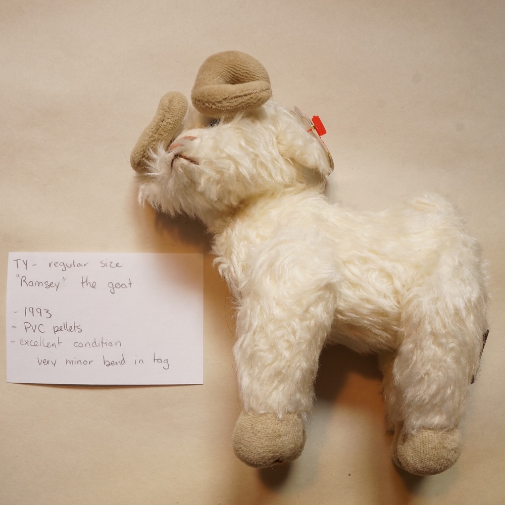 TY - beanie baby - Ramsey the goat (1993) with tag